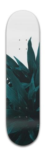 Design 209839 Skateboards, Longboards and Grip Tape Image