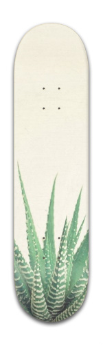 Design 209826 Skateboards, Longboards and Grip Tape Image