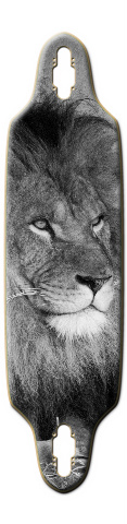 Design 210846 Skateboards, Longboards and Grip Tape Image