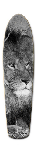 Design 211043 Skateboards, Longboards and Grip Tape