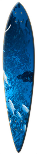 Design 211780 Skateboards, Longboards and Grip Tape Image