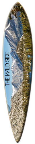 The Wild Side Skateboards, Longboards and Grip Tape Image