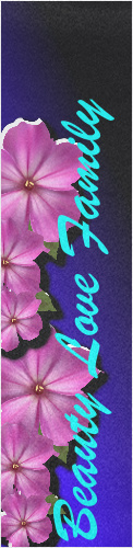 Design 223468