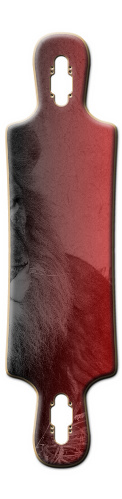 Design 223382 Skateboards, Longboards and Grip Tape