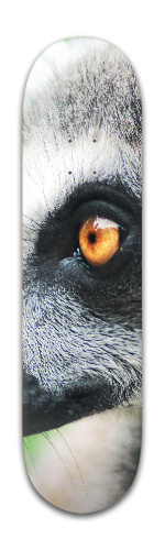 Design 224544 Skateboards, Longboards and Grip Tape