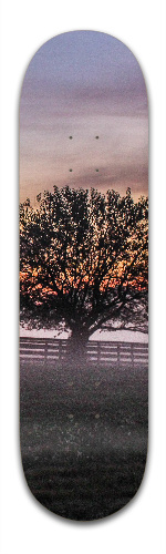 mine Skateboards, Longboards and Grip Tape Image