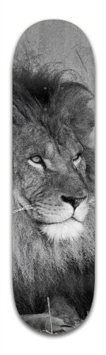 Design 226066 Skateboards, Longboards and Grip Tape Image