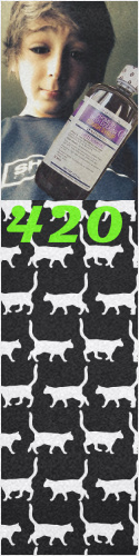 Design 227126 Skateboards, Longboards and Grip Tape
