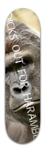Design 227311 Skateboards, Longboards and Grip Tape