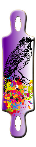 Design 227295 Skateboards, Longboards and Grip Tape