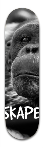 Design 220736 Skateboards, Longboards and Grip Tape