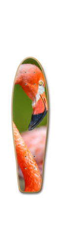 Design 221321 Skateboards, Longboards and Grip Tape