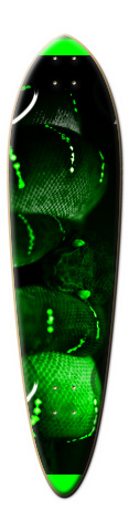 Design 221008 Skateboards, Longboards and Grip Tape