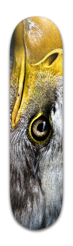 Design 221688 Skateboards, Longboards and Grip Tape Image