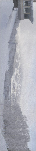 Design 271461