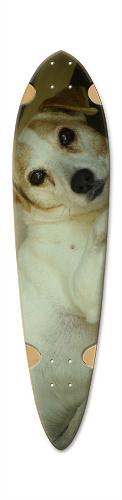 Design 271968 Skateboards, Longboards and Grip Tape