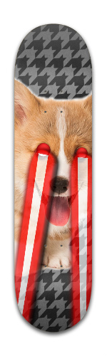 doggy lasers