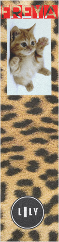 Design 272762 Skateboards, Longboards and Grip Tape