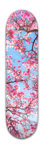 Design 267629 Skateboards, Longboards and Grip Tape