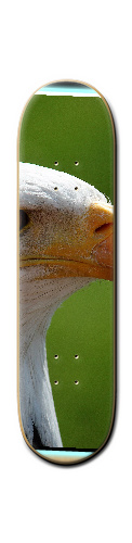 Design 273035