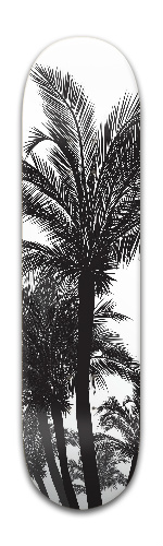 Design 268804 Skateboards, Longboards and Grip Tape