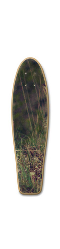 Design 269382 Skateboards, Longboards and Grip Tape