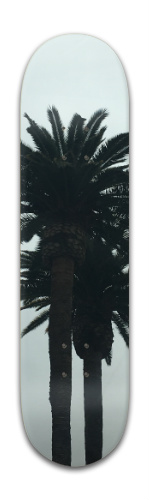 Design 358641