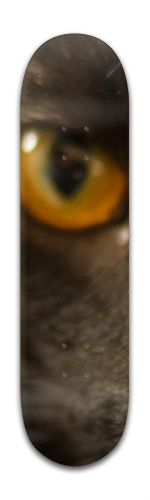 Design 279918 Skateboards, Longboards and Grip Tape