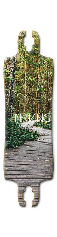 Design 282532 Skateboards, Longboards and Grip Tape