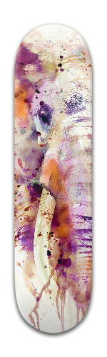 Design 282982 Skateboards, Longboards and Grip Tape Image