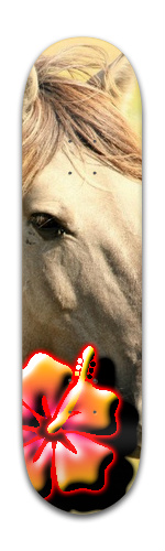 Design 282934 Skateboards, Longboards and Grip Tape Image