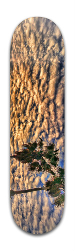 Design 277194 Skateboards, Longboards and Grip Tape