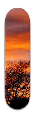 Design 278126 Skateboards, Longboards and Grip Tape