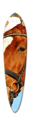 Design 278357 Skateboards, Longboards and Grip Tape Image