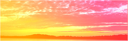 sunset Skateboards, Longboards and Grip Tape Image