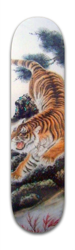 Design 288779 Skateboards, Longboards and Grip Tape Image