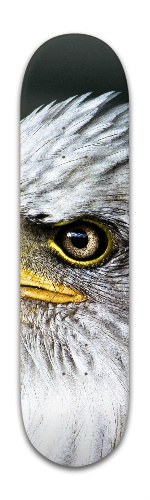Design 291471 Skateboards, Longboards and Grip Tape