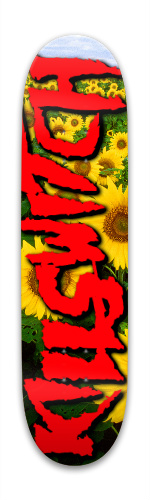 Design 293015