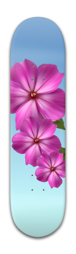 Design 285948 Skateboards, Longboards and Grip Tape