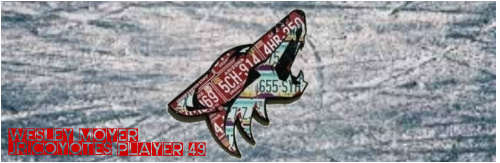 Design 286578 Skateboards, Longboards and Grip Tape Image