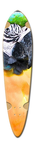 Design 297904 Skateboards, Longboards and Grip Tape Image