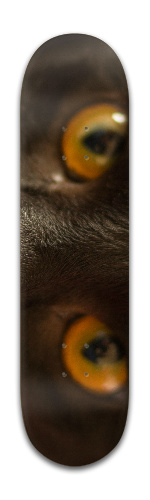 Design 299598 Skateboards, Longboards and Grip Tape Image