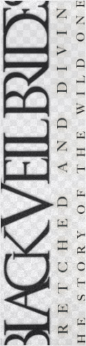 Design 302330