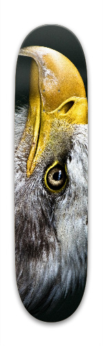 Design 294983 Skateboards, Longboards and Grip Tape