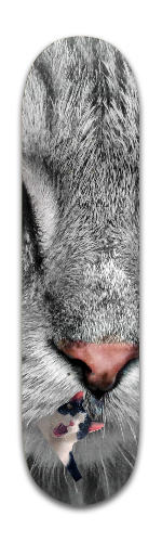 Design 295264 Skateboards, Longboards and Grip Tape Image