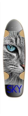 Design 295644 Skateboards, Longboards and Grip Tape Image