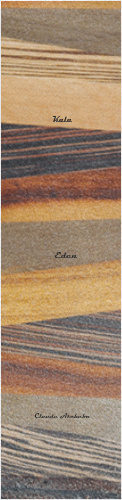 Design 308313