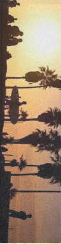 Design 308569 Skateboards, Longboards and Grip Tape