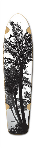 palm trees