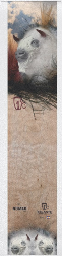 ram3
